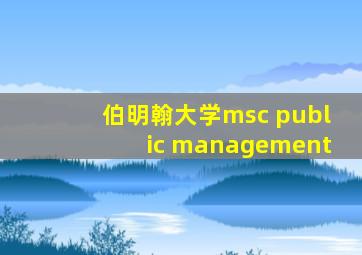 伯明翰大学msc public management